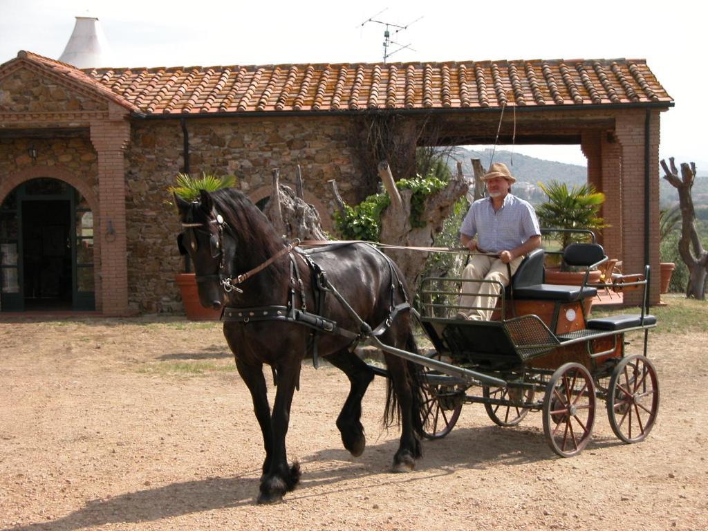 Agriturismo La Fontanella & Glamping Суверето Экстерьер фото